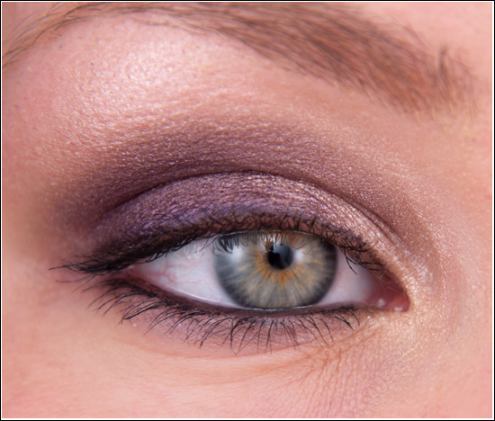 Loreal Color Riche Le Smoky Purple Dream