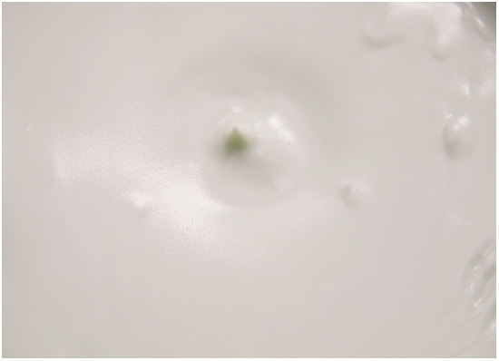 The-Body-Shop-Olive-Body-Butter