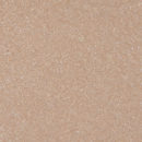 H&M Amazing Greige Eye Colour