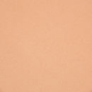 Cien Bronze Shimmer (03) Bronzing Powder from Lidl Makeup