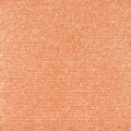 H&M Apricot Eyeshadow (B)