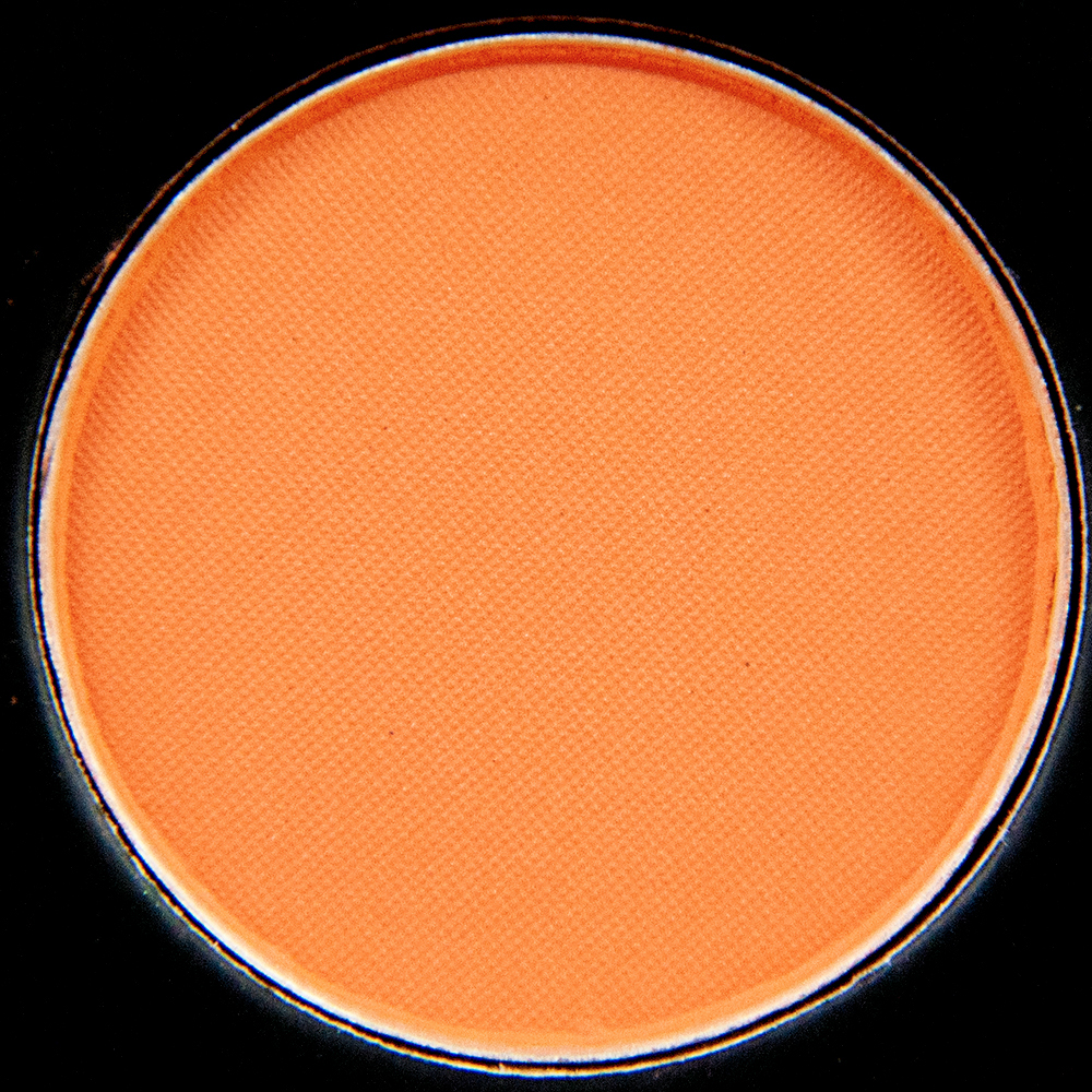 H&M Reef Diver Eyeshadow